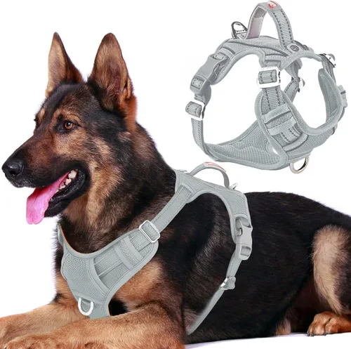 Vista 66 de BARKBAY Arnés Oxford sin tirones para perro con bolsillo para etiqueta de identificación, resistente, reflectante, fácil control para perros grandes