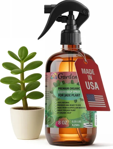Vista 10 de GARDENERA Spray orgánico profesional de algas marinas para plantas AGLAONEMA – 8 oz – Rocío fertilizante de algas marinas y algas marinas totalmente