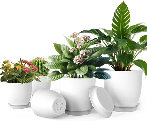 Vista 8 de iPower Macetas con drenaje de 7.1/6.3/5.5/5/4.5 pulgadas, decoración del hogar para macetas de interior, macetas de plástico, cactus, suculentas