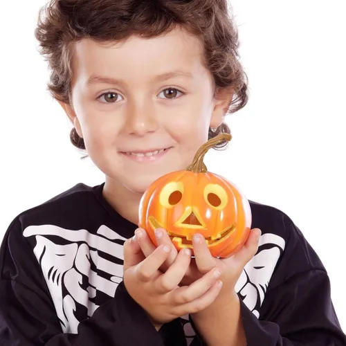 Vista 9 de Garneck 24 Calabazas STEM – Tallo de calabaza de plástico para adorno de calabaza, día de Acción de Gracias y Halloween, decoración de calabaza