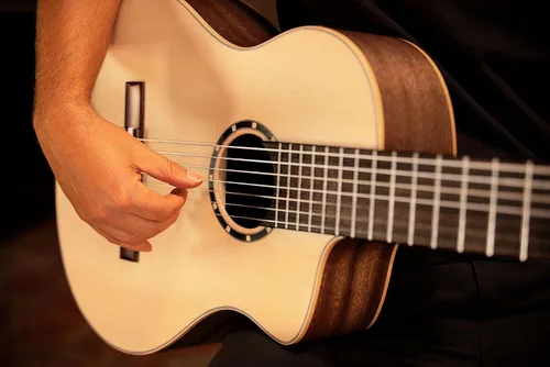 Vista 13 de Family Series Pro - Guitarra clásica de nailon acústico eléctrico de 7 cuerdas con bolsa