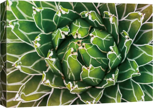 Vista 32 de SIGNFORD - Lienzo impreso en lienzo para pared, diseño de flores blancas en floreros de cristal, ilustraciones florales, estilo moderno, grupo