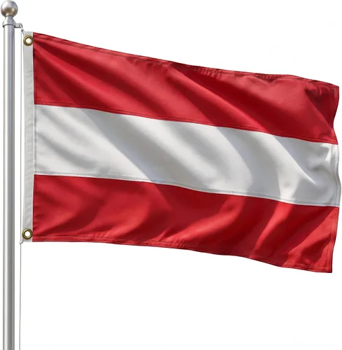 Vista 71 de DMSE - Bandera nacional beninesa beninesa de la República de África Occidental, 2 x 3 pies, 100 % poliéster, 100 % poliéster, resistente a los rayos