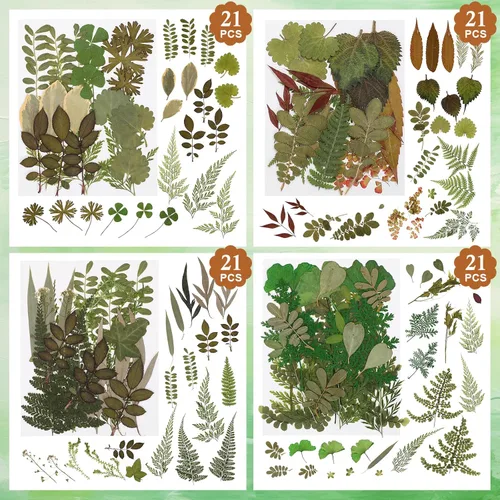 Vista 7 de Alipis Dried Pressed Flowers and Leaves for Resin Crafts, 162+ Pieces Green Leaves
