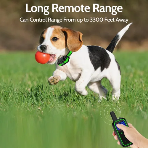 Vista 4 de Collar eléctrico de entrenamiento para perros con 4 modos de entrenamiento y control remoto recargable, rango impermeable de 3300 pies para perros
