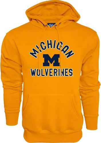 Vista 20 de Blue 84 Sudadera con capucha para hombres, alineación del equipo del color del