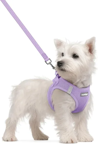 Vista 129 de rabbitgoo Arnés para perro de tamaño pequeño y juego de correa, chaleco Cachorros de manzana