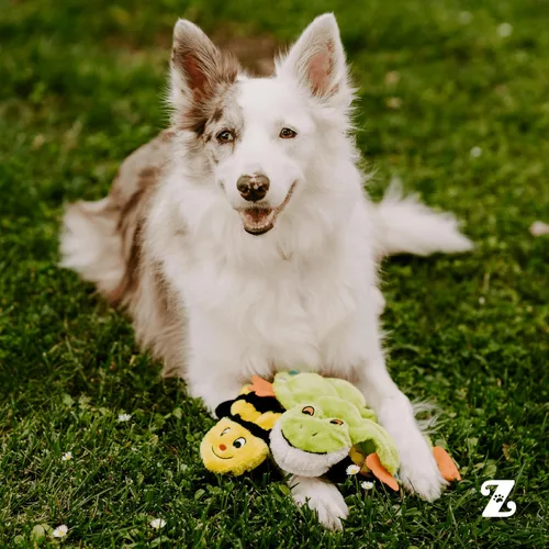 Vista 6 de ZippyPaws Squeakie Crawler - Juguete para perros sin relleno para mantenerlos ocupados, para perros pequeños, medianos y grandes, juguete chirriante