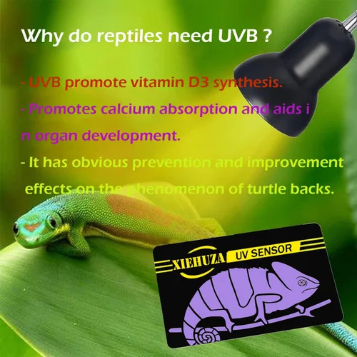 Vista 4 de Paquete de 5 tarjetas de sensor de prueba UVB rápido, reutilizables, probador UVB para reptiles