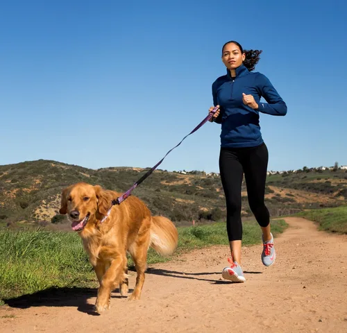 Vista 2 de HALTI Active Strap - Correa elástica para perro, galardonada correa elástica para perro, absorbe los golpes, cinturón acolchado de neopreno todo