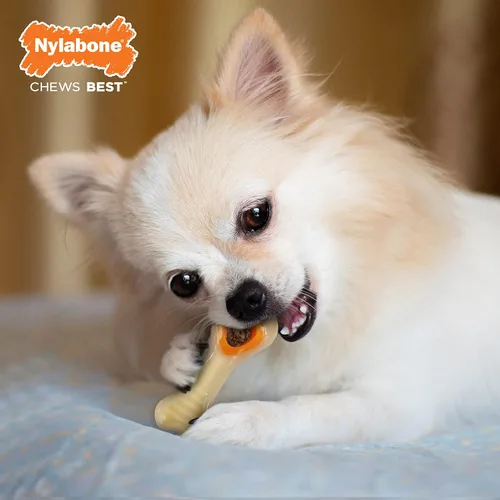 Vista 3 de Nylabone Hueso de Nuca Bone Pop-In Juguetes de Golosinas Poderosas para Perros, Juguetes Interactivos Dispensadores de Golosinas y Enriquecimiento