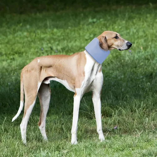 Vista 8 de Cuello para perro para mascotas, recuperación después de la cirugía, ajustable, transpirable, cuello cervical, cono de recuperación, cono de cabeza