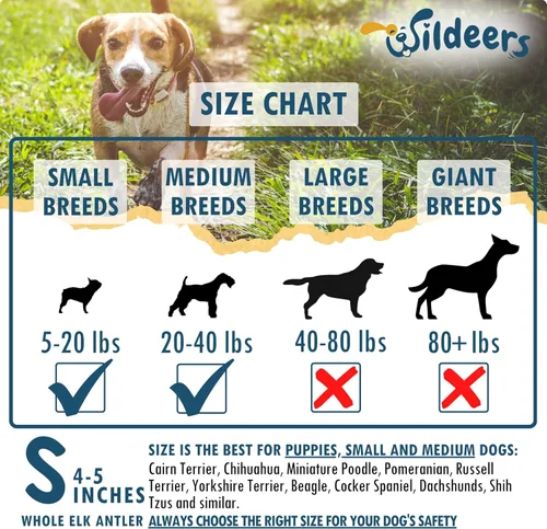 Vista 3 de Wildeers Cuernos de alce para perros pequeños, paquete de 3, ricos en minerales, masticables de hueso de cuernos de perro, fabricados en Estados
