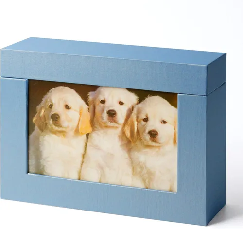Vista 7 de Caja de almacenamiento de 5 x 7, cajas de cartón para fotos de familias pequeñas y parejas, cajas de regalo, color blanco plateado