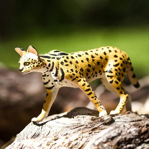 Vista 7 de Safari Ltd. Estatuilla Serval – Figura detallada de plástico de 3.75 pulgadas – Divertido juguete educativo para niños, niñas y niños a partir de 3
