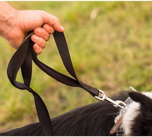 Vista 7 de Correa para perro para perros grandes, acolchado de tráfico, 2 asas para control adicional, 6 pies de largo con puntada reflectante para caminar por
