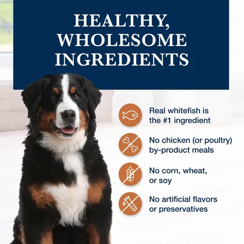 Vista 6 de Blue Buffalo Natural Veterinary Diet W+M Weight Management + Mobility Support - Alimento húmedo para perros, pescado blanco, latas de 12.5 onzas