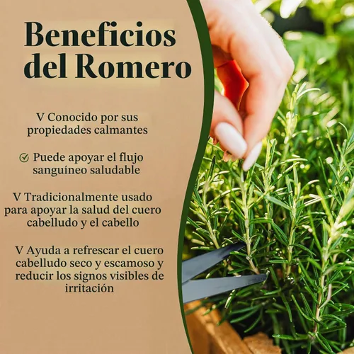 Vista 5 de Lia Organics Spray de cuero cabelludo para el crecimiento del cabello con romero
