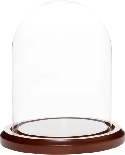 Vista 4 de Plymor Cúpula de cristal de 4.5 x 6 pulgadas (base de madera MDF negra)