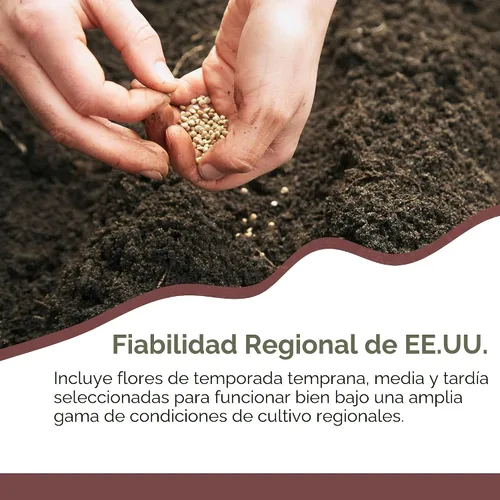 Vista 8 de Mix de semillas de flores silvestres para mariposas y colibríes – Más de 30.000 semillas – Paquete extra grande a granel resellable de 1 oz