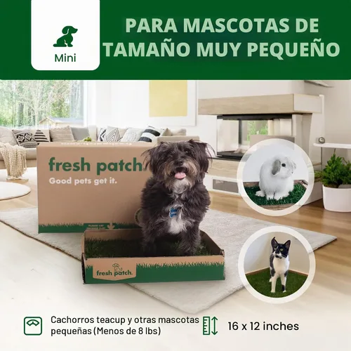 Vista 4 de Fresh Patch Mini parche de césped real para perros, gatos y mascotas pequeñas de menos de 8 libras, almohadillas desechables para orinar