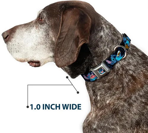 Vista 6 de Buckle-Down Collar de perro con hebilla de cinturón de seguridad, Poses de refrigerio de puntada, negro/azul, 1 pulgada de ancho, se adapta a cuello