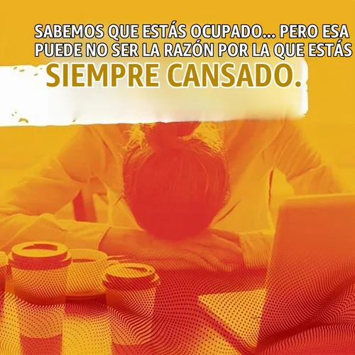 Vista 5 de NaturesPlus Hema-Plex Iron - 60 cápsulas de acción rápida - 85 mg de hierro quelado - Salud total de la sangre - con vitamina C y bioflavonoides