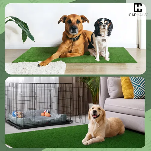 Vista 8 de Fencer Wire Azulejos de césped artificial con agujeros de drenaje, césped sintético entrelazado para entrenamiento de perros, decoración de suelo