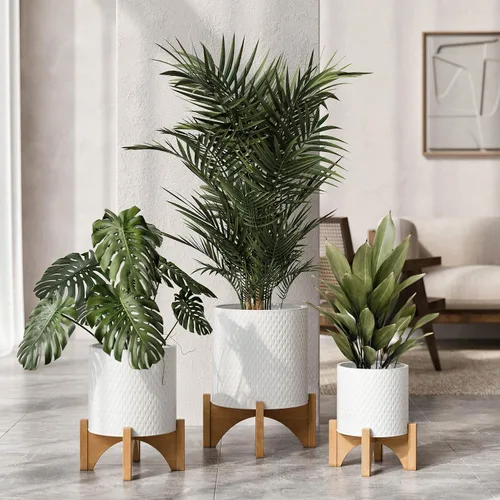 Vista 6 de EverNest Claire Maceta blanca moderna bohemia con soporte de madera de arco, maceta de interior de mediados de siglo, base SelectBase, soporte