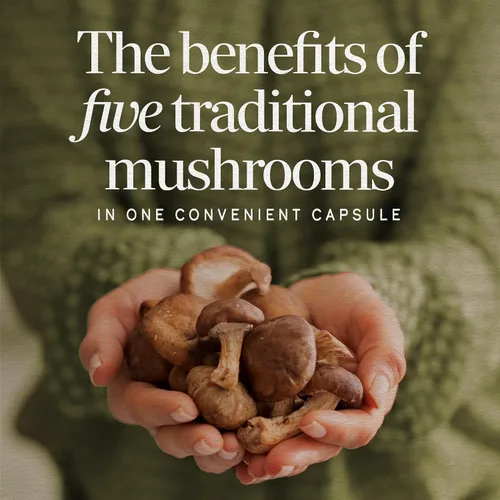 Vista 2 de Nature's Way Mezcla de 5 hongos, con melena de león, shiitake, reishi, maitake, hongo chaga, 60 cápsulas veganas