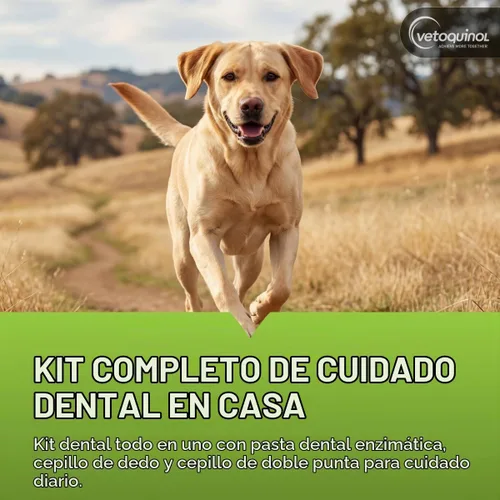 Vista 2 de Vetoquinol Enzadent Kit de pasta de dientes con cepillos para mascotas, 3.2