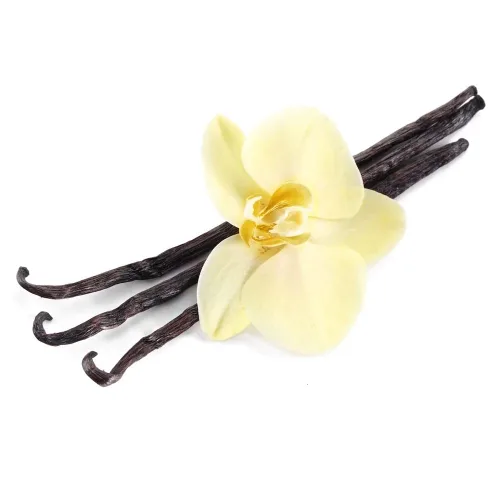 Vista 3 de Perfume de almizcle de China Essense sin alcohol, aceite de perfume de almizcle de China, vegano, sin crueldad, sin parabenos, sin sulfato, de larga