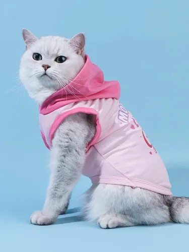 Vista 2 de QWINEE Camiseta sin mangas con capucha para perro con estampado de letras, chaleco sin mangas con capucha para gatos, cachorros, ropa elástica