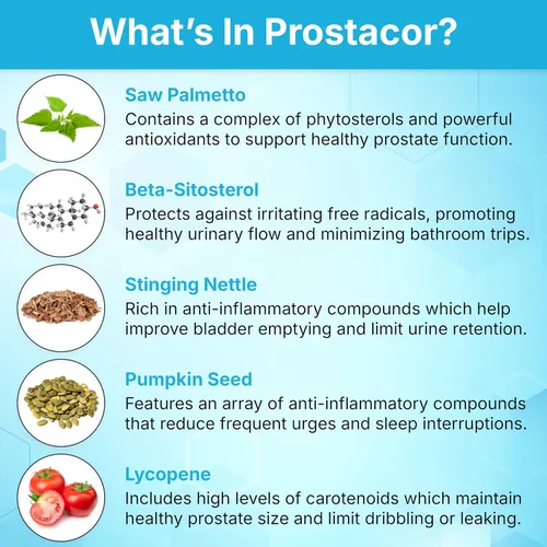Vista 13 de Prostacor - Suplemento Natural para el Apoyo de la Próstata - Sin GMO, Vegano, Sin Gluten Supports Healthy Urine Flow, Fewer Urges, Bladder