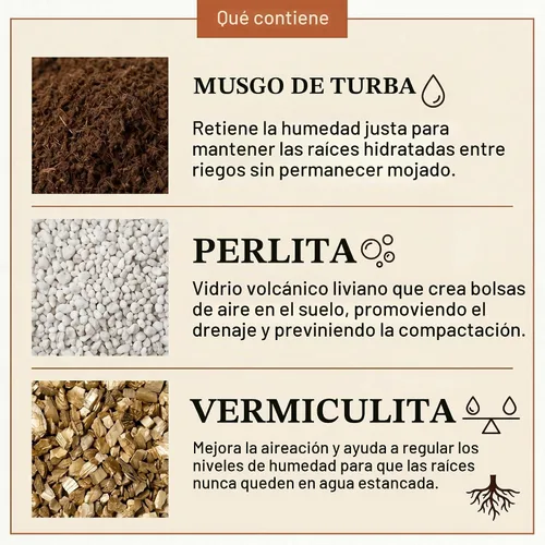 Vista 3 de Mezcla de tierra natural para macetas de cactus y suculentas (hecha en Estados Unidos) (4 cuartos secos)