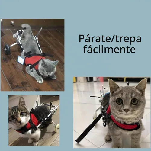 Vista 5 de Silla de ruedas ajustable para gatos, silla de ruedas para mascotas totalmente personalizable para perros y gatos pequeños con correa de pecho a