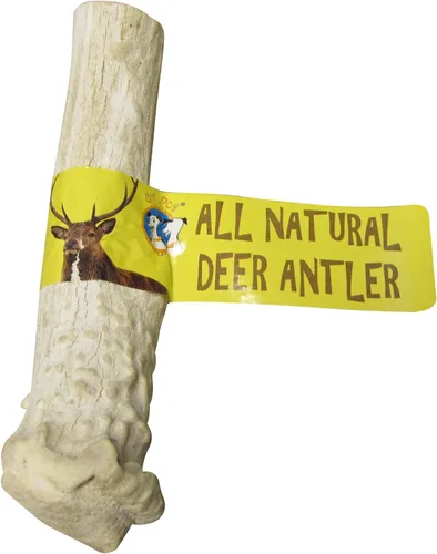 Vista 3 de QT Dog Medium Antlers - Masticable para perros 100% natural de larga duración, lleno de proteínas de origen ético y masticadores dentales bajos