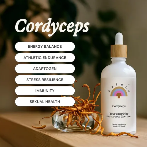 Vista 2 de Rainbo - Tintura de hongos Cordyceps - Suplemento de hongo de extracto dual - Apoyo inmunológico, energía, suplemento Cordyceps líquido, vegano, sin