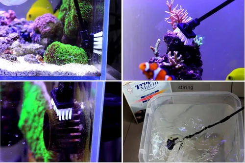 Vista 6 de Cepillo limpiador de algas para acuario con 10 cuchillas de acero inoxidable para peces, arrecife, plantas, tanque de vidrio, 26 pulgadas