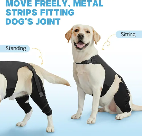 Vista 6 de Rodilleras para perro para soporte de pierna trasera, soporte ACL Negro