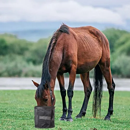 Vista 4 de Bolsa de alimentación para caballos, bolsa de alimentación Rite, compacta con correa ajustable, M