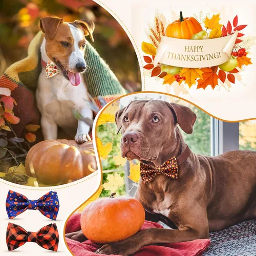 Vista 5 de Paterr 50 piezas de collar de Acción de Gracias para perro, accesorios de collar de perro de otoño para perros, lazos con bandas elásticas, dijes