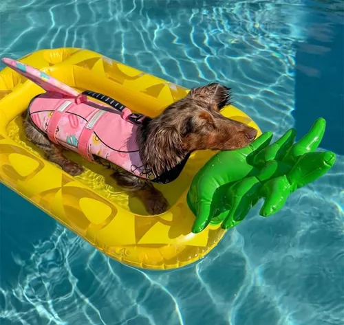 Vista 2 de Soporte inflable de la bebida de la piña, flotador de la bebida del partido de la piscina