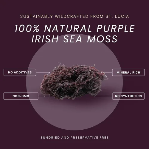 Vista 3 de Musgo marino púrpura – silvestre de Santa Lucía 4oz Hace ~50oz de gel de musgo marino 100% natural y crudo Apoya el bienestar diario, la piel