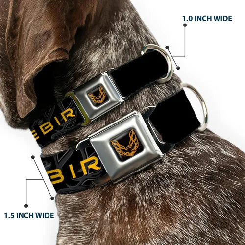 Vista 2 de Buckle-Down Collar de perro Hebilla de cinturón de seguridad Pontiac Firebird Logo Negro Grises Oros, Multicolor, 1 pulgada de ancho - Se adapta a