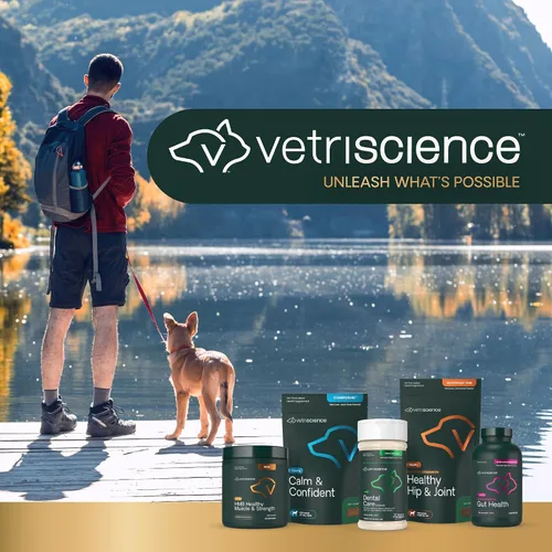 Vista 8 de VetriScience Pinchers extra grandes, píldoras masticables no grasosas con probióticos para perros, píldoras de disfraz, cápsulas y tabletas, salud