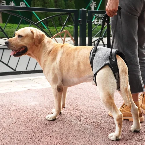 Vista 6 de Dotoner Arnés para perros grandes, soporte para las patas traseras para ayudar a rehabilitar las extremidades traseras de perros ancianos con patas