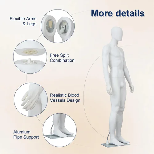 Vista 6 de Maniquí masculino de 6 pies con forma de cuerpo completo para vestido, soporte ajustable y posable, maniquí torso con base de metal, blanco