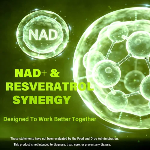 Vista 8 de RAPGET Suplemento liposomal NAD + Resveratrol - Suplemento NMN alternativo de alta pureza NAD + Suplemento para energía - Apoyo a la salud celular