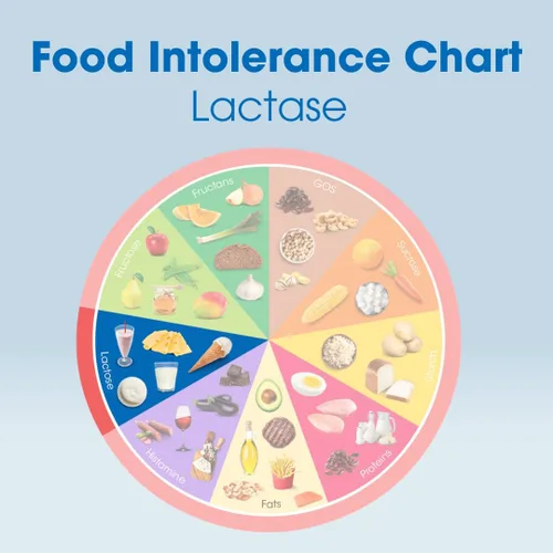 Vista 8 de Intoleran Lactase 2500 Digestive Enzymes Testpack - 6 tabletas Suplemento para intolerancia a la lactosa Enzima lactasa que ayuda a digerir